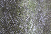 Mansewood fibreglass roof work